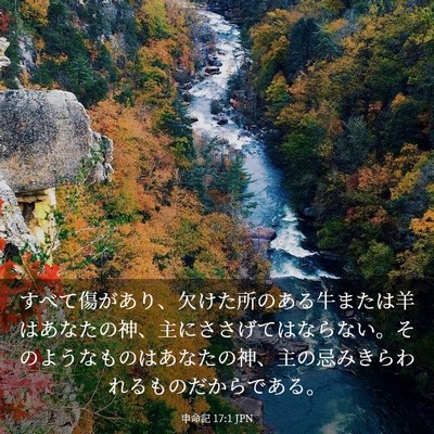 Picture 03 - 申命記 17:1 JPN - すべて傷があり、欠けた所のある牛 - Bible Verse Picture