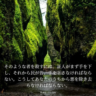Picture 03 - 申命記 17:7 JPN - そのような者を殺すには、証人がま - Bible Verse Picture