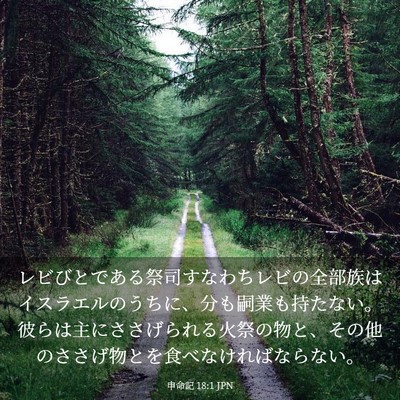 Picture 03 - 申命記 18:1 JPN - レビびとである祭司すなわちレビの - Bible Verse Picture