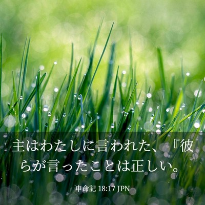 Picture 03 - 申命記 18:17 JPN - 主はわたしに言われた、『彼らが言 - Bible Verse Picture