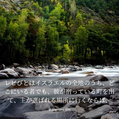 Picture 03 - 申命記 18:6 JPN - レビびとはイスラエルの全地のうち - Bible Verse Picture