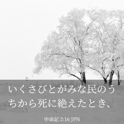 Picture 03 - 申命記 2:16 JPN - いくさびとがみな民のうちから死に - Bible Verse Picture
