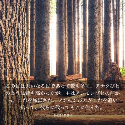 Picture 03 - 申命記 2:21 JPN - この民は大いなる民であって数も多 - Bible Verse Picture