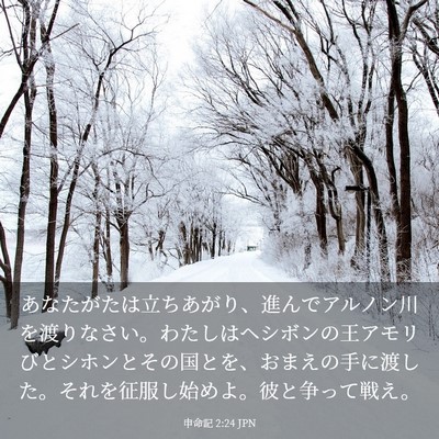 Picture 03 - 申命記 2:24 JPN - あなたがたは立ちあがり、進んでア - Bible Verse Picture