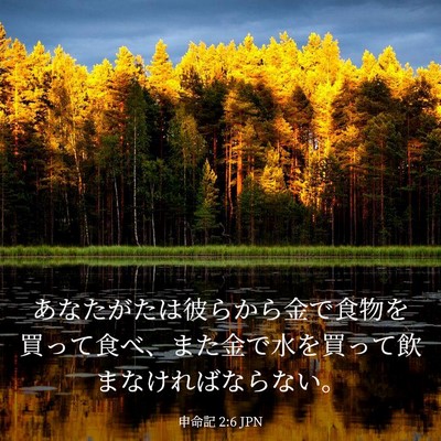 Picture 03 - 申命記 2:6 JPN - あなたがたは彼らから金で食物を買 - Bible Verse Picture