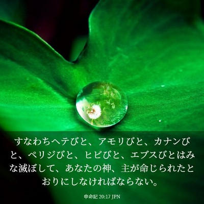 Picture 03 - 申命記 20:17 JPN - すなわちヘテびと、アモリびと、カ - Bible Verse Picture