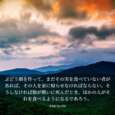 Picture 03 - 申命記 20:6 JPN - ぶどう畑を作って、まだその実を食 - Bible Verse Picture