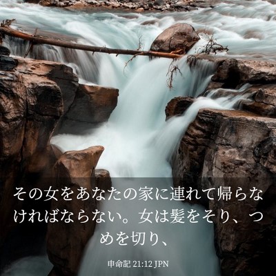 Picture 03 - 申命記 21:12 JPN - その女をあなたの家に連れて帰らな - Bible Verse Picture