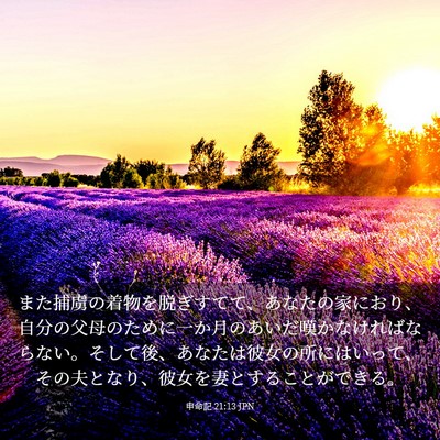 Picture 03 - 申命記 21:13 JPN - また捕虜の着物を脱ぎすてて、あな - Bible Verse Picture