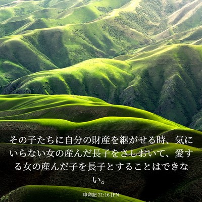 Picture 03 - 申命記 21:16 JPN - その子たちに自分の財産を継がせる - Bible Verse Picture