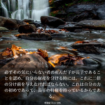 Picture 03 - 申命記 21:17 JPN - 必ずその気にいらない者の産んだ子 - Bible Verse Picture