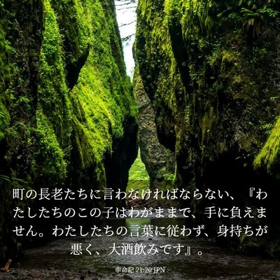 Picture 03 - 申命記 21:20 JPN - 町の長老たちに言わなければならな - Bible Verse Picture
