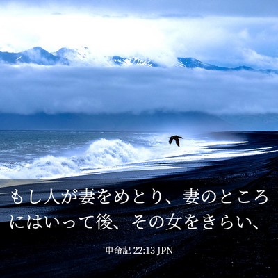 Picture 03 - 申命記 22:13 JPN - もし人が妻をめとり、妻のところに - Bible Verse Picture