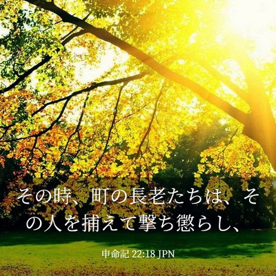Picture 03 - 申命記 22:18 JPN - その時、町の長老たちは、その人を - Bible Verse Picture