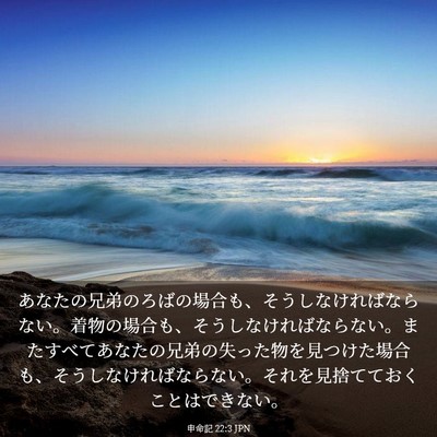 Picture 03 - 申命記 22:3 JPN - あなたの兄弟のろばの場合も、そう - Bible Verse Picture