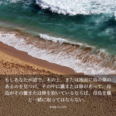 Picture 03 - 申命記 22:6 JPN - もしあなたが道で、木の上、または - Bible Verse Picture