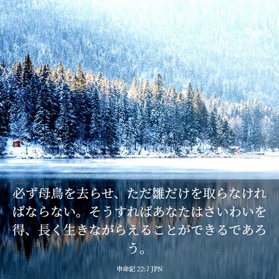 Picture 03 - 申命記 22:7 JPN - 必ず母鳥を去らせ、ただ雛だけを取 - Bible Verse Picture
