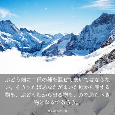 Picture 03 - 申命記 22:9 JPN - ぶどう畑に二種の種を混ぜてまいて - Bible Verse Picture