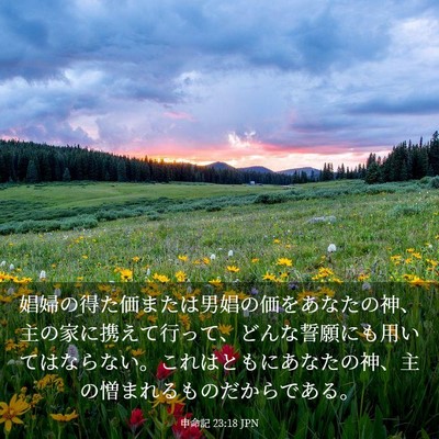 Picture 03 - 申命記 23:18 JPN - 娼婦の得た価または男娼の価をあな - Bible Verse Picture