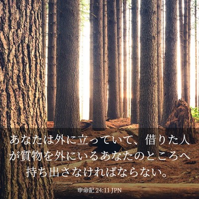 Picture 03 - 申命記 24:11 JPN - あなたは外に立っていて、借りた人 - Bible Verse Picture