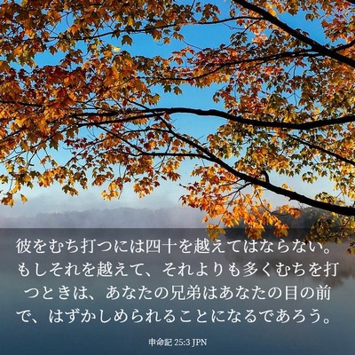 Picture 03 - 申命記 25:3 JPN - 彼をむち打つには四十を越えてはな - Bible Verse Picture