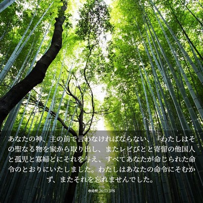 Picture 03 - 申命記 26:13 JPN - あなたの神、主の前で言わなければ - Bible Verse Picture