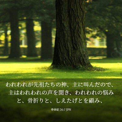 Picture 03 - 申命記 26:7 JPN - われわれが先祖たちの神、主に叫ん - Bible Verse Picture