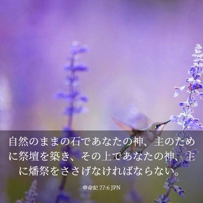 Picture 03 - 申命記 27:6 JPN - 自然のままの石であなたの神、主の - Bible Verse Picture