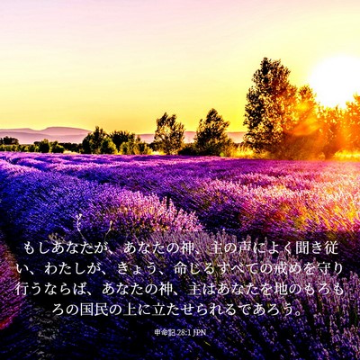 Picture 03 - 申命記 28:1 JPN - もしあなたが、あなたの神、主の声 - Bible Verse Picture