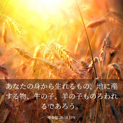 Picture 03 - 申命記 28:18 JPN - あなたの身から生れるもの、地に産 - Bible Verse Picture