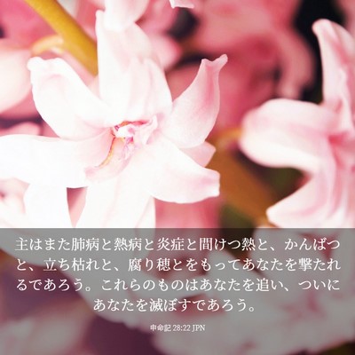 Picture 03 - 申命記 28:22 JPN - 主はまた肺病と熱病と炎症と間けつ - Bible Verse Picture