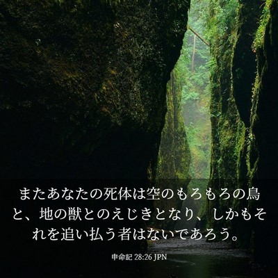 Picture 03 - 申命記 28:26 JPN - またあなたの死体は空のもろもろの - Bible Verse Picture