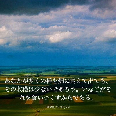 Picture 03 - 申命記 28:38 JPN - あなたが多くの種を畑に携えて出て - Bible Verse Picture