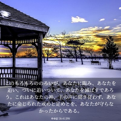 Picture 03 - 申命記 28:45 JPN - このもろもろののろいが、あなたに - Bible Verse Picture