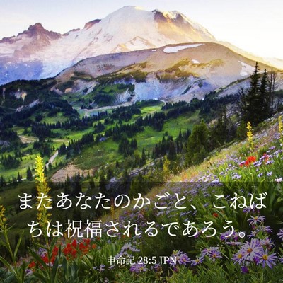 Picture 03 - 申命記 28:5 JPN - またあなたのかごと、こねばちは祝 - Bible Verse Picture