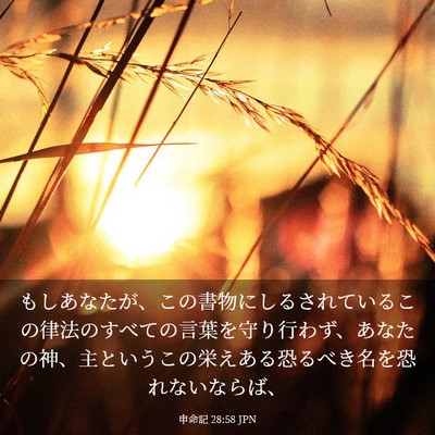 Picture 03 - 申命記 28:58 JPN - もしあなたが、この書物にしるされ - Bible Verse Picture