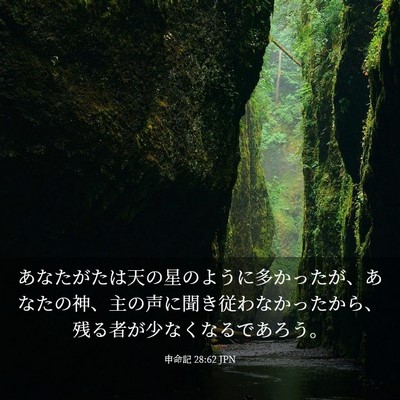 Picture 03 - 申命記 28:62 JPN - あなたがたは天の星のように多かっ - Bible Verse Picture