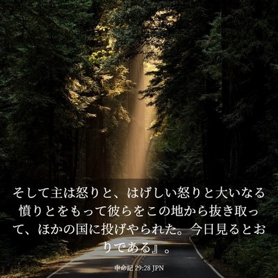 Picture 03 - 申命記 29:28 JPN - そして主は怒りと、はげしい怒りと - Bible Verse Picture
