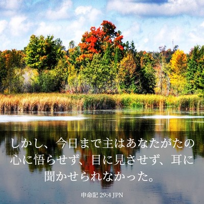 Picture 03 - 申命記 29:4 JPN - しかし、今日まで主はあなたがたの - Bible Verse Picture