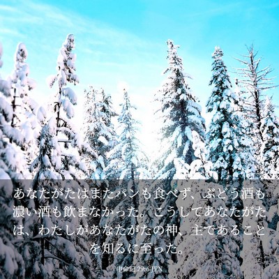 Picture 03 - 申命記 29:6 JPN - あなたがたはまたパンも食べず、ぶ - Bible Verse Picture