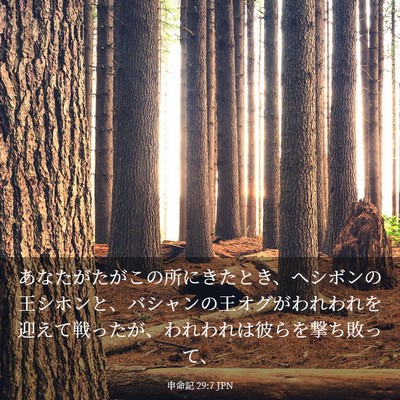 Picture 03 - 申命記 29:7 JPN - あなたがたがこの所にきたとき、ヘ - Bible Verse Picture