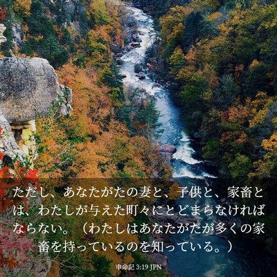 Picture 03 - 申命記 3:19 JPN - ただし、あなたがたの妻と、子供と - Bible Verse Picture
