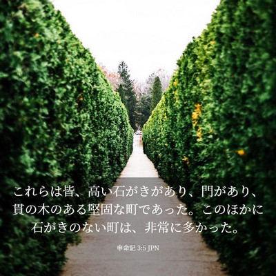 Picture 03 - 申命記 3:5 JPN - これらは皆、高い石がきがあり、門 - Bible Verse Picture
