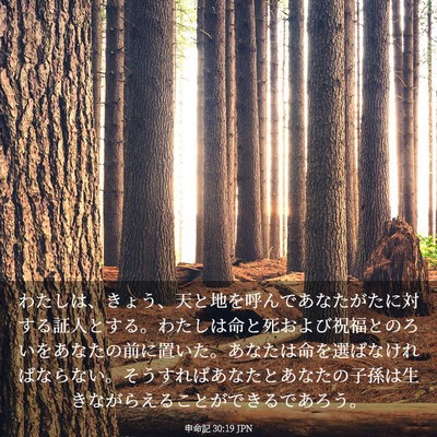 Picture 03 - 申命記 30:19 JPN - わたしは、きょう、天と地を呼んで - Bible Verse Picture