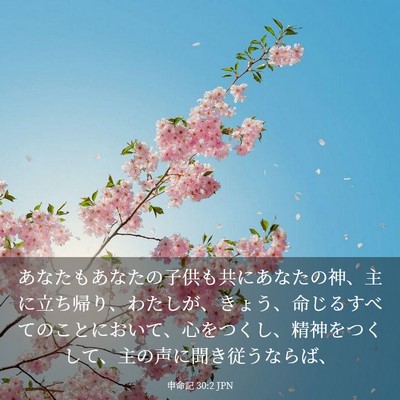 Picture 03 - 申命記 30:2 JPN - あなたもあなたの子供も共にあなた - Bible Verse Picture