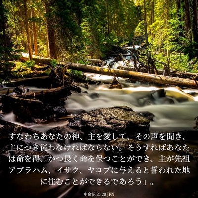 Picture 03 - 申命記 30:20 JPN - すなわちあなたの神、主を愛して、 - Bible Verse Picture