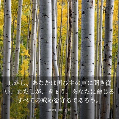 Picture 03 - 申命記 30:8 JPN - しかし、あなたは再び主の声に聞き - Bible Verse Picture