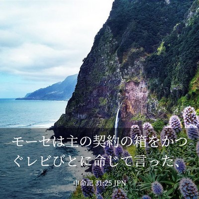 Picture 03 - 申命記 31:25 JPN - モーセは主の契約の箱をかつぐレビ - Bible Verse Picture