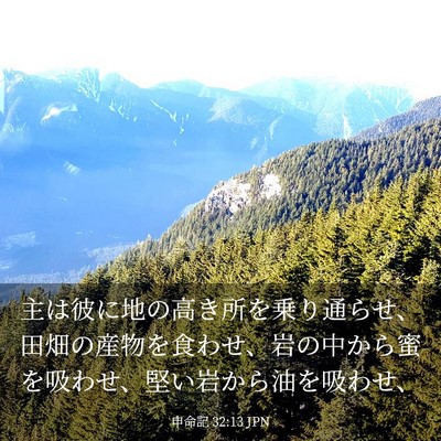 Picture 03 - 申命記 32:13 JPN - 主は彼に地の高き所を乗り通らせ、 - Bible Verse Picture