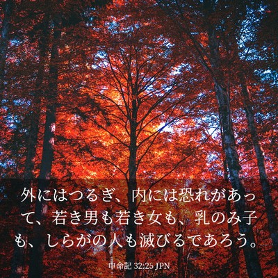 Picture 03 - 申命記 32:25 JPN - 外にはつるぎ、内には恐れがあって - Bible Verse Picture
